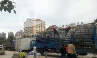 活动现场实景拍摄