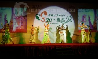 希爱力高峰论坛活动演出